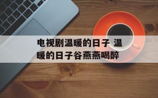 电视剧温暖的日子 温暖的日子谷燕燕喝醉