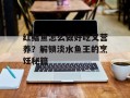 红鲳鱼怎么做好吃又营养？解锁淡水鱼王的烹饪秘籍