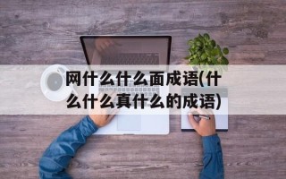 网什么什么面成语(什么什么真什么的成语)