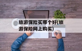 旅游保险买哪个好(旅游保险网上购买)