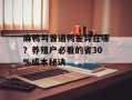 麻鸭与普通鸭差异在哪？养殖户必看的省30%成本秘诀