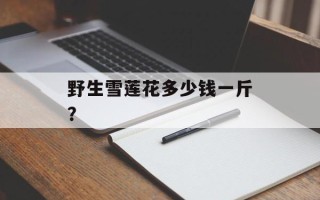 野生雪莲花多少钱一斤？