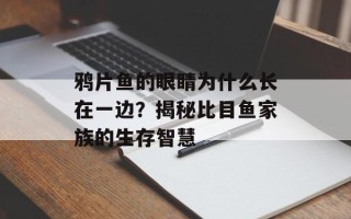 鸦片鱼的眼睛为什么长在一边？揭秘比目鱼家族的生存智慧