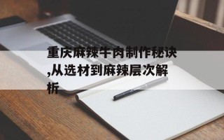 重庆麻辣牛肉制作秘诀,从选材到麻辣层次解析