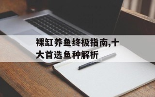 裸缸养鱼终极指南,十大首选鱼种解析