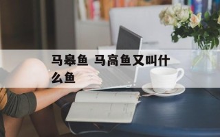 马皋鱼 马高鱼又叫什么鱼