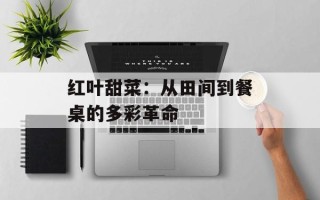 红叶甜菜：从田间到餐桌的多彩革命