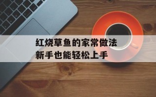 红烧草鱼的家常做法 新手也能轻松上手