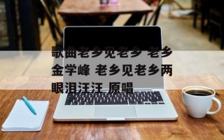 歌曲老乡见老乡 老乡金学峰 老乡见老乡两眼泪汪汪 原唱