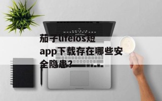茄子lifeios短app下载存在哪些安全隐患？