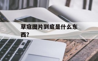 草寇图片到底是什么东西？