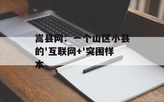 嵩县网：一个山区小县的'互联网+'突围样本