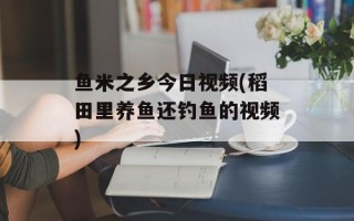 鱼米之乡今日视频(稻田里养鱼还钓鱼的视频)