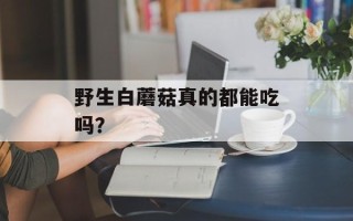 野生白蘑菇真的都能吃吗？