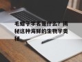 毛蚶子学名是什么？揭秘这种海鲜的生物学奥秘