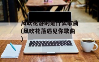风吹花落的是什么歌曲(风吹花落遇见你歌曲)
