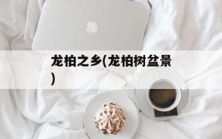 龙柏之乡(龙柏树盆景)