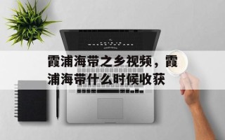 霞浦海带之乡视频，霞浦海带什么时候收获