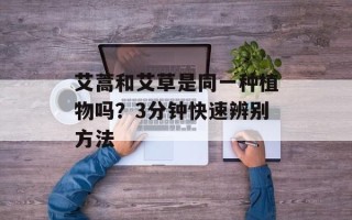 艾蒿和艾草是同一种植物吗？3分钟快速辨别方法