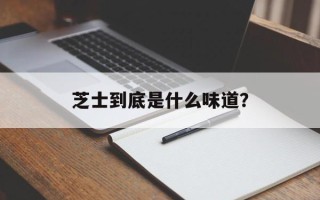 芝士到底是什么味道？