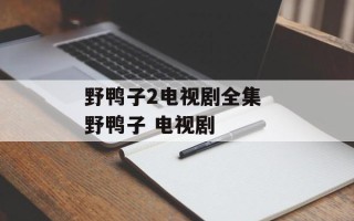 野鸭子2电视剧全集 野鸭子 电视剧