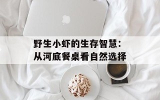 野生小虾的生存智慧：从河底餐桌看自然选择