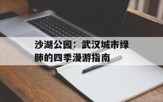 沙湖公园：武汉城市绿肺的四季漫游指南