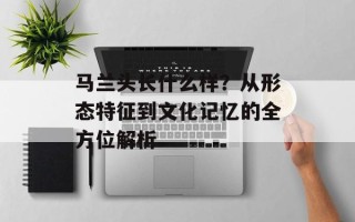 马兰头长什么样？从形态特征到文化记忆的全方位解析