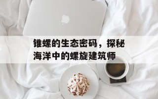 锥螺的生态密码，探秘海洋中的螺旋建筑师