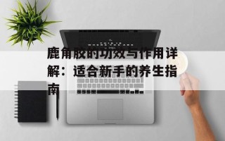 鹿角胶的功效与作用详解：适合新手的养生指南