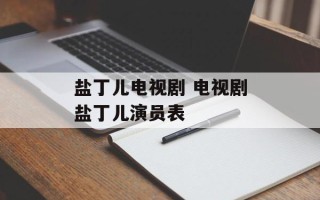 盐丁儿电视剧 电视剧盐丁儿演员表