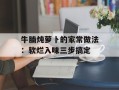 牛腩炖萝卜的家常做法：软烂入味三步搞定