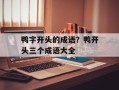 鸭字开头的成语？鸭开头三个成语大全