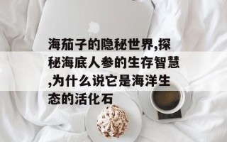 海茄子的隐秘世界,探秘海底人参的生存智慧,为什么说它是海洋生态的活化石