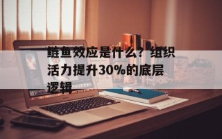 鲢鱼效应是什么？组织活力提升30%的底层逻辑