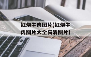红烧牛肉图片(红烧牛肉图片大全高清图片)