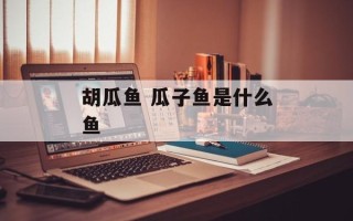 胡瓜鱼 瓜子鱼是什么鱼