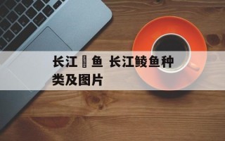 长江鮰鱼 长江鲮鱼种类及图片