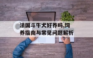 法国斗牛犬好养吗,饲养指南与常见问题解析