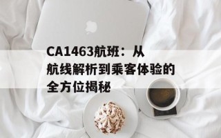 CA1463航班：从航线解析到乘客体验的全方位揭秘