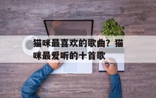 猫咪最喜欢的歌曲？猫咪最爱听的十首歌