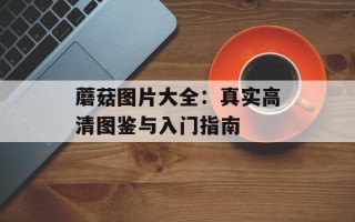 蘑菇图片大全：真实高清图鉴与入门指南