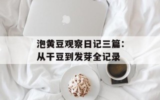 泡黄豆观察日记三篇：从干豆到发芽全记录