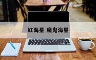 红海星 魔鬼海星