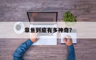 章鱼到底有多神奇？