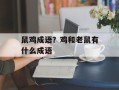 鼠鸡成语？鸡和老鼠有什么成语