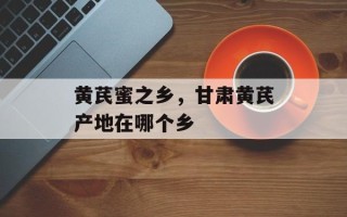 黄芪蜜之乡，甘肃黄芪产地在哪个乡