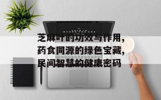 芝麻叶的功效与作用,药食同源的绿色宝藏,民间智慧的健康密码
