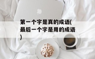 第一个字是真的成语(最后一个字是用的成语)