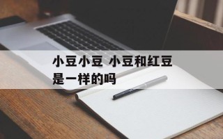 小豆小豆 小豆和红豆是一样的吗